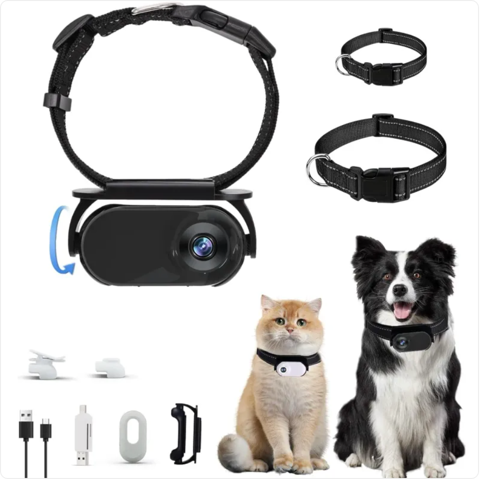 Cámara para mascota con collar