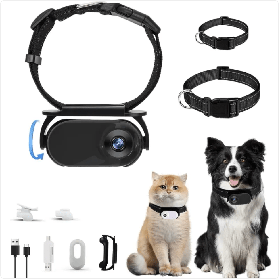 Cámara para mascota con collar - El rincón de mi mascota