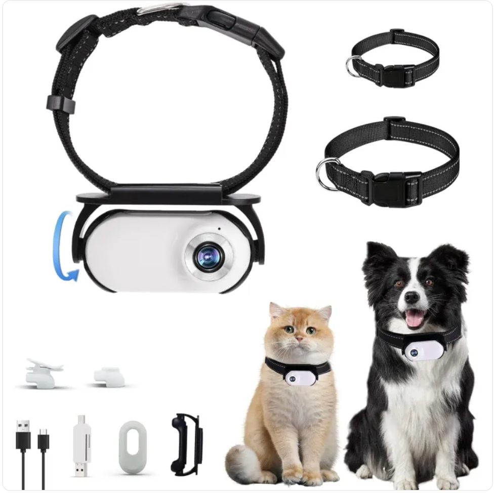 Cámara para mascota con collar