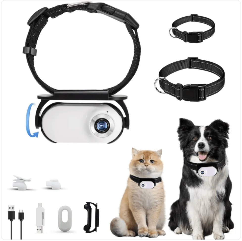 Cámara para mascota con collar - El rincón de mi mascota