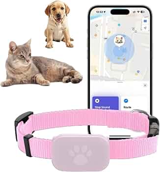 Collar GPS