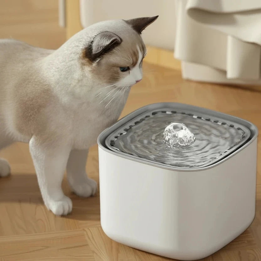 Fuente de agua para mascotas