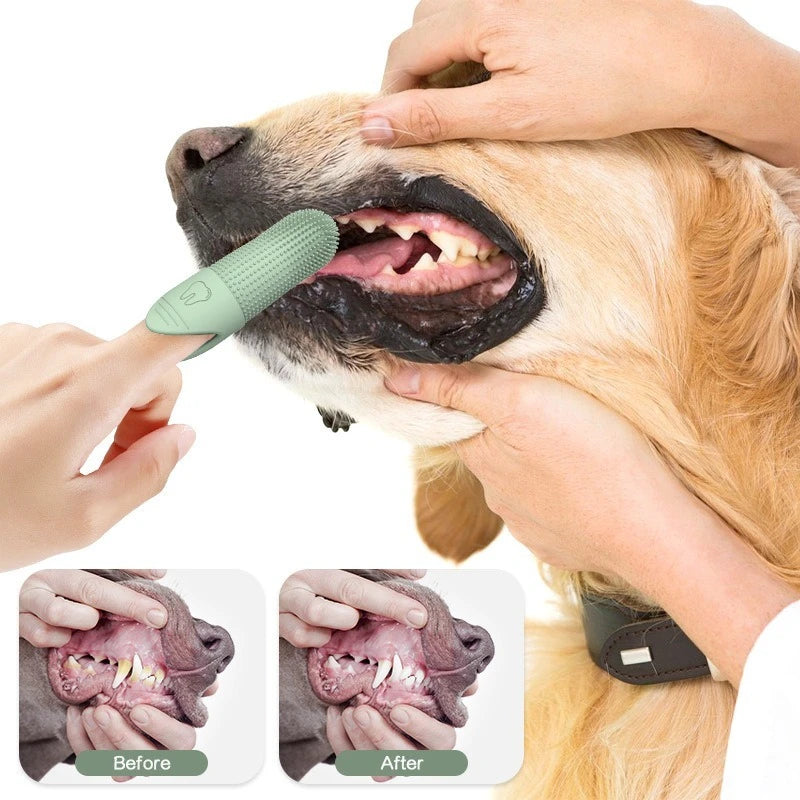 Cepillo de dientes para mascotas
