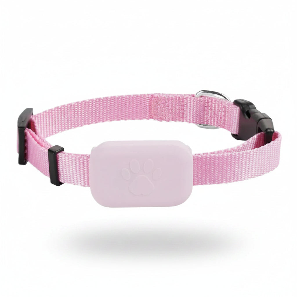 Collar GPS