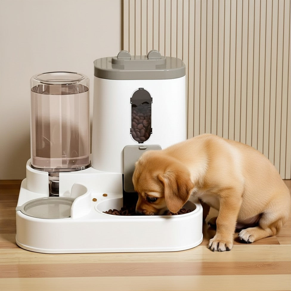 Dispensador automático